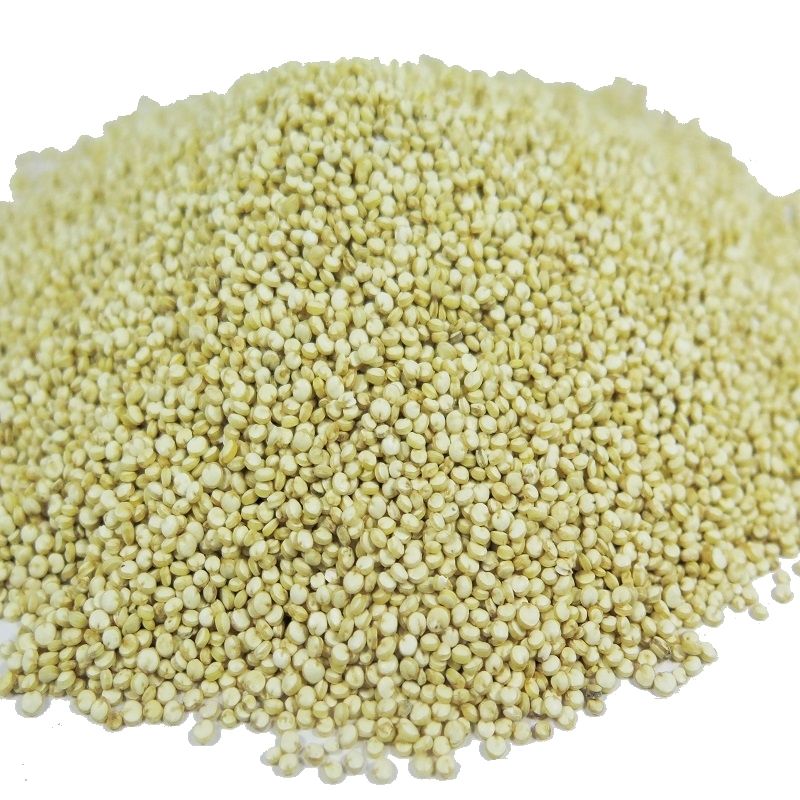 SEMILLAS DE QUINOA XKG